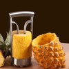 Pineapple Cutter, Pineapple Peeler, Stainless Steel, Quick and Easy Pineapple