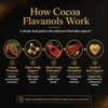 High Flavanol Cocoa Powder 245g, 1200mg Cocoa Flavanols & Flavonoids