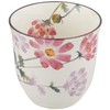 Hanasato Rice Bowl Cosmos 04278 (Tenpo Chopsticks Included)