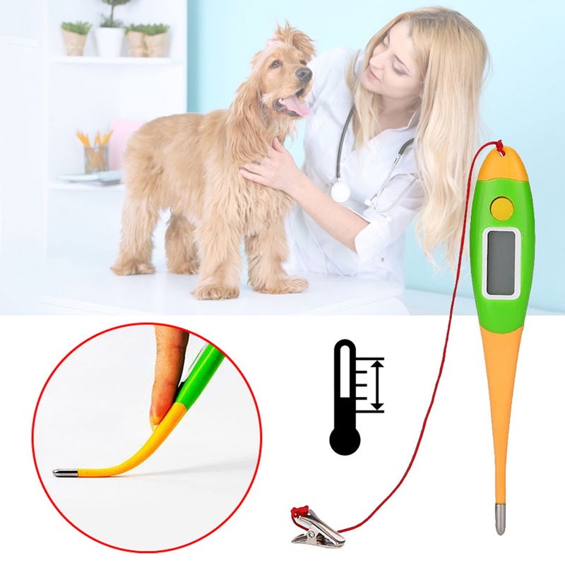 Pets Electronic Thermometer Dog Digital Thermometer Veterinary Supplies