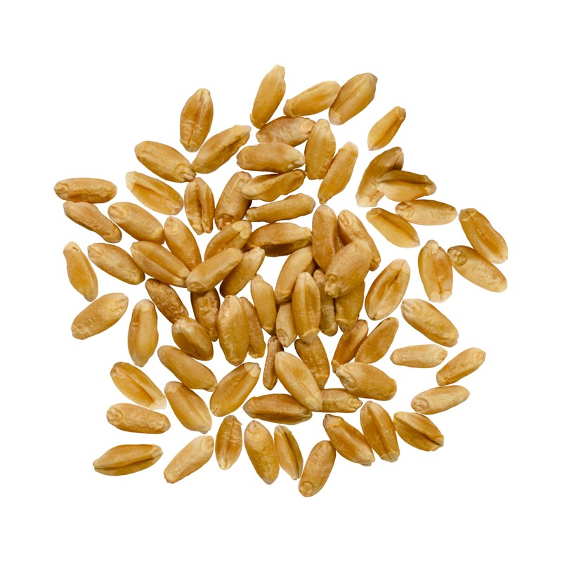 Palouse Brand Certified Glyphosate Residue Free Hard Red Spring Wheat