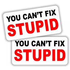 Unbranded/Generic 2- You Cant Fix Stupid Funny Hard Hat Stickers \ Construction Decals Laborer