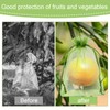 100 Pieces Green Fruit Protection Bags Fruit Protection Bags Fruit