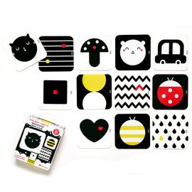 Banana Panda - The Way I See It Educational Flash Cards - Visual Learning Activity for Babies Ages 0 Months and Up