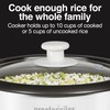 Proctor Silex Rice Cooker & Food Steamer, 10 Cups Cooked