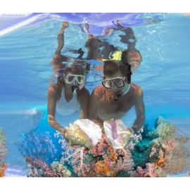 DiVLMT Snorkeling Gear for Adults with Fins Scuba Diving Gear Adult Prodessional Travel Snorkel Sets with Flippers,Anti-Fog Anti-Leak Diving Mask (Black, US Men 4-8.5 | US Lady 6-9.5)