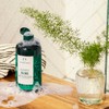 The Body Shop Tea Tree Clear & Balancing Shampoo, 13.5