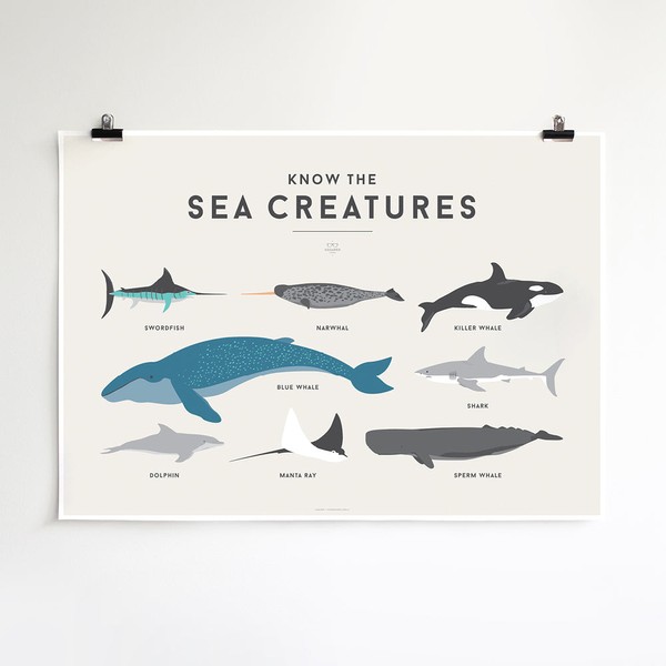Simply Squared Squared Charts - Sea Creatures