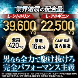 【3袋セット】Mr.GINO ソルエナジー 米国産シトルリン アルギニン サプリ 亜鉛 マカ 全16成分 65,754mg