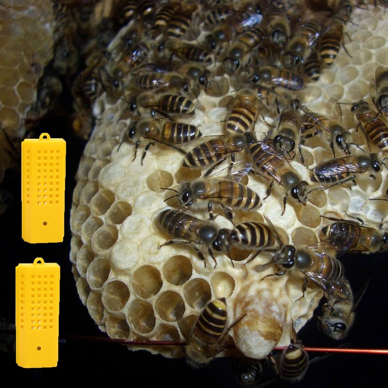 Bee Queen Cages, Plastic Queen Bee Cages, Queen Bee Cages,