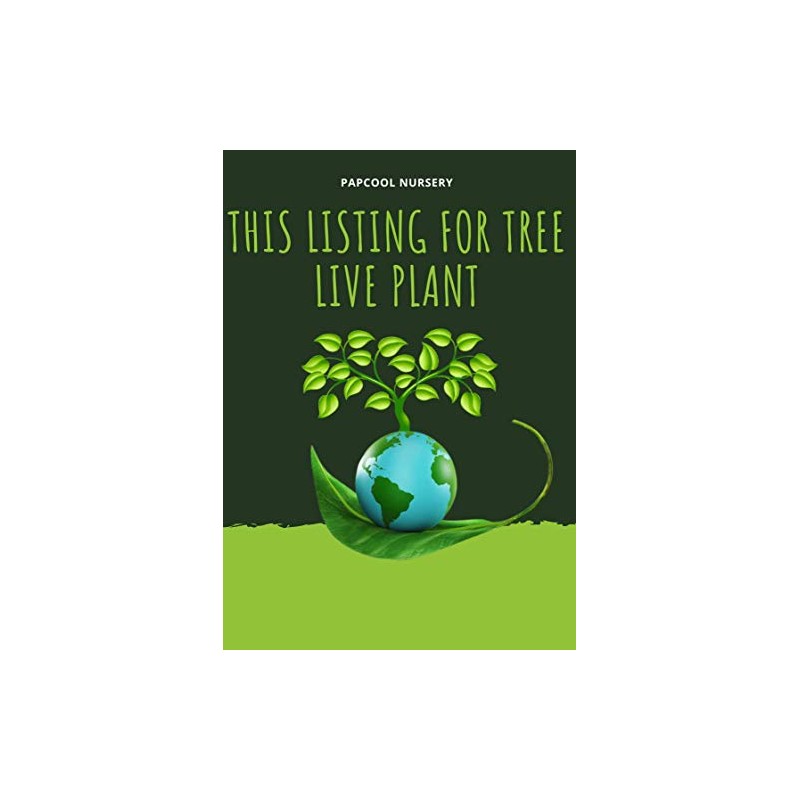 Triple Crown BlackBerry, Thornless BlackBerry Plants, 10 Ct