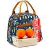 FlowFly Insulated Lunch Cooler Bag - Tote Bag Organizer for