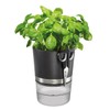 GEFU Botanico 00116 Herb Pot + Herb Scissors