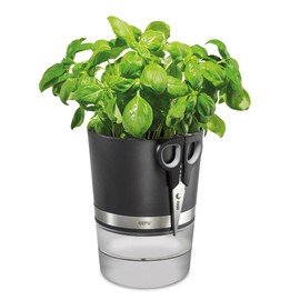 GEFU Botanico 00116 Herb Pot + Herb Scissors