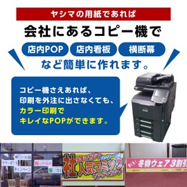 Long Paper A3 Length 35.4 inches (900 mm) x Width 11.7 inches (297 mm), Box of 100 Sheets Thickness: 130 g/㎡ (160 microns), Yashima Sangyo