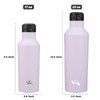 Insulated Water Bottle with Straw,17 OZ Double Wall Vacuum Stainless