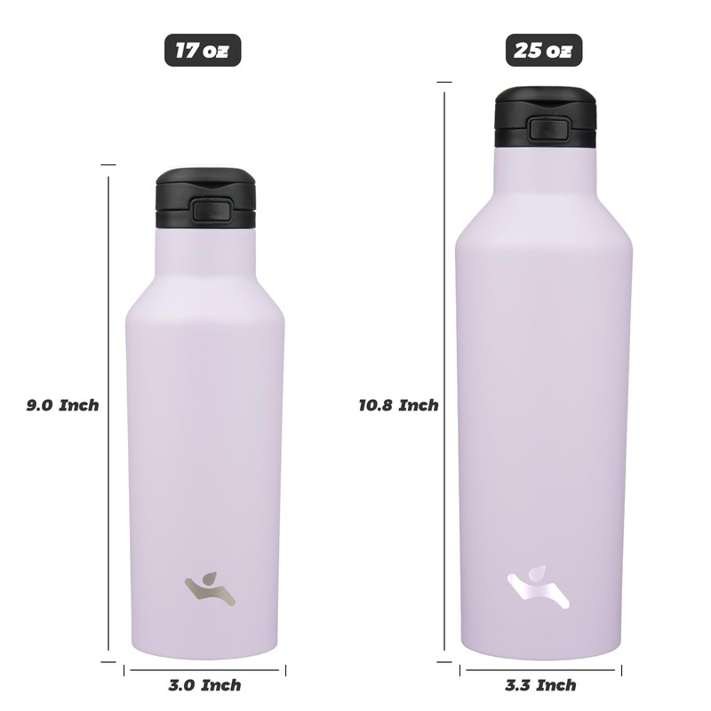 Insulated Water Bottle with Straw,17 OZ Double Wall Vacuum Stainless