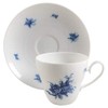 Rosenthal Rhapsody Cup & Saucer