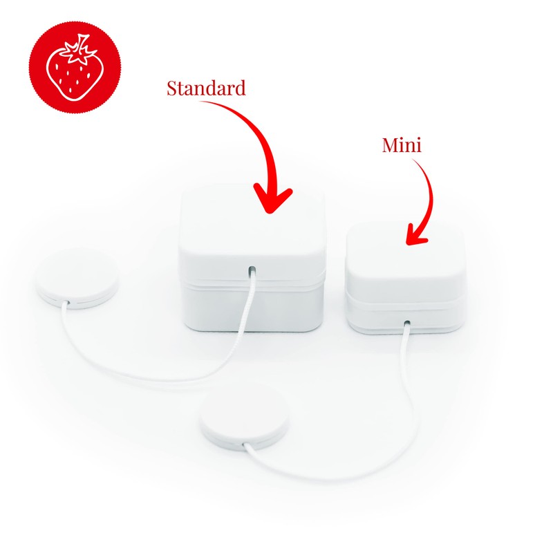 la fraise rouge Mini Music Box Movement with Fabric Voucher,