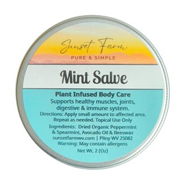 Mint Salve Herbal Balm Skin Body Care Ointment 2 oz