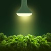 Briignite LED Grow Light Bulb, BR30 Grow Light Bulbs, Full