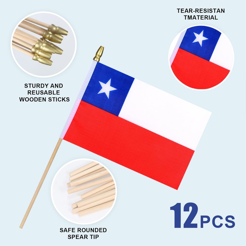 HSQCEZ 12Pcs Small Chile Flags on Wooden Stick Mini Chilean