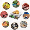 BROMECH Price Computing Scale, 66lb Digital Commercial Food Meat Produce