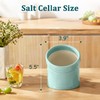 Salt Pig Ceramic Salt Cellar, Wide Caliber Dishwasher‑Safe Counter Holder