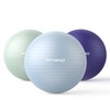 FITMIND_Extra Thick Exercise Ball 65cm Yoga Ball for Workout Pregnancy