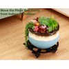 2 Packs Large Metal Plant Caddy with Wheels 13” Heavy-Duty