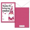 Paper Frenzy Gnome Themed Valentines - 25 pack WITH ENVELOPES
