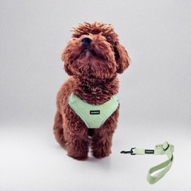 No Pull Puppy Harness and Leash Set – No Choke Neoprene Dog Harness for Medium Dogs (25–40lbs) – Green(M), Lightweight Breathable Mesh with Unique Heart Pattern, Adjustable Fit