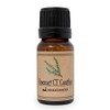 Rosemary CT Camphor 0.3 fl oz (10 ml), Naturally Derived