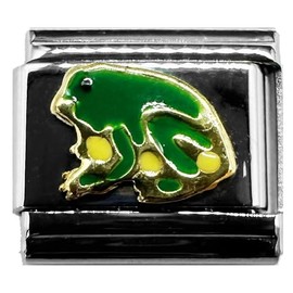 Fablinks Italian Bracelet Charms, 9mm Stainless Steel Charm Link for Women, Modular Jewelry Links for Men (Frog 1)