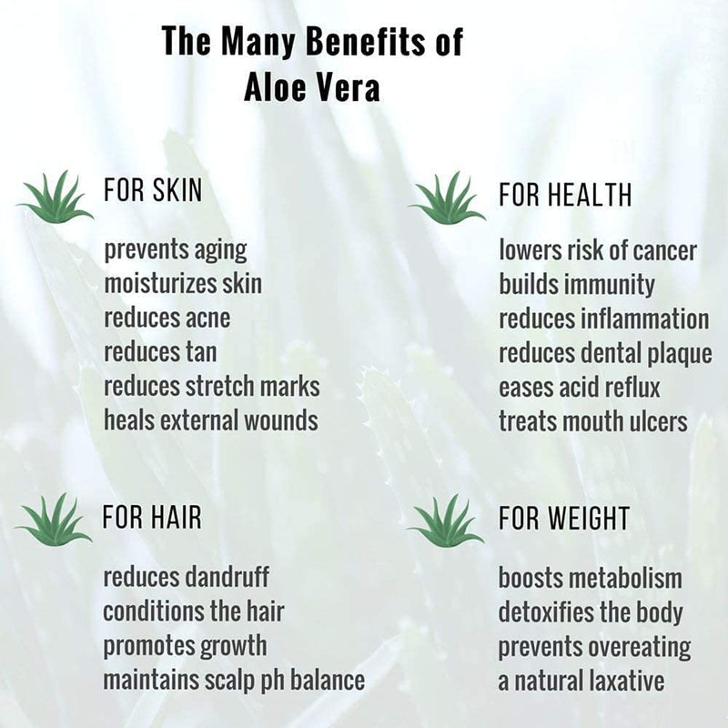 Aloe Vera Juice, Liquid, No Thickening Agent, Filtered, 100% Pure