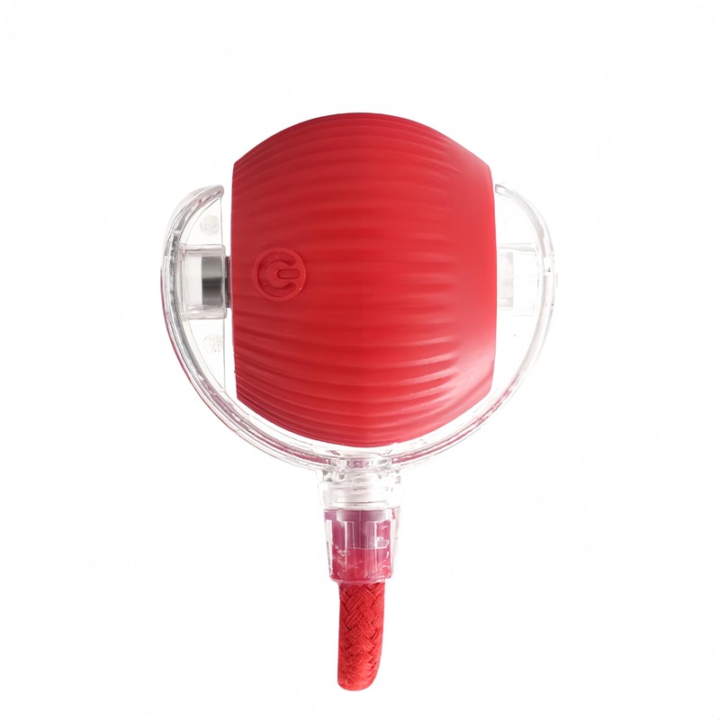 Dog Ball Toy with Rope - Red