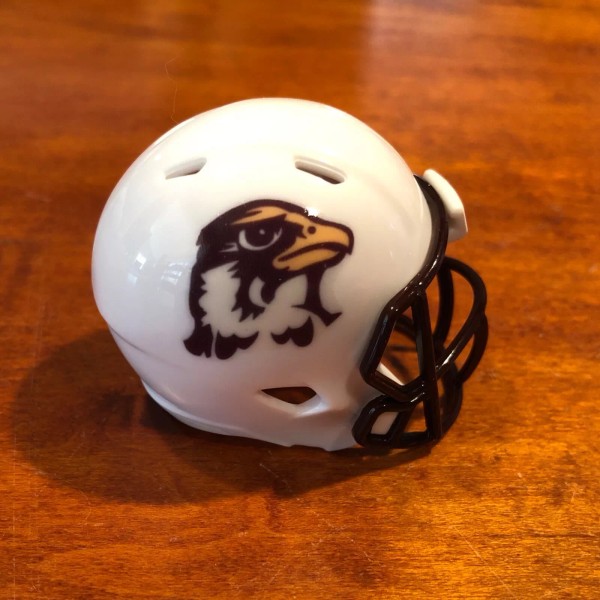 Quincy Hawks custom pocket pro helmet D2 Division 2