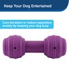 PetSafe Busy Buddy Chuckle, Interactive Treat Dispensing Dog Toy, Chew