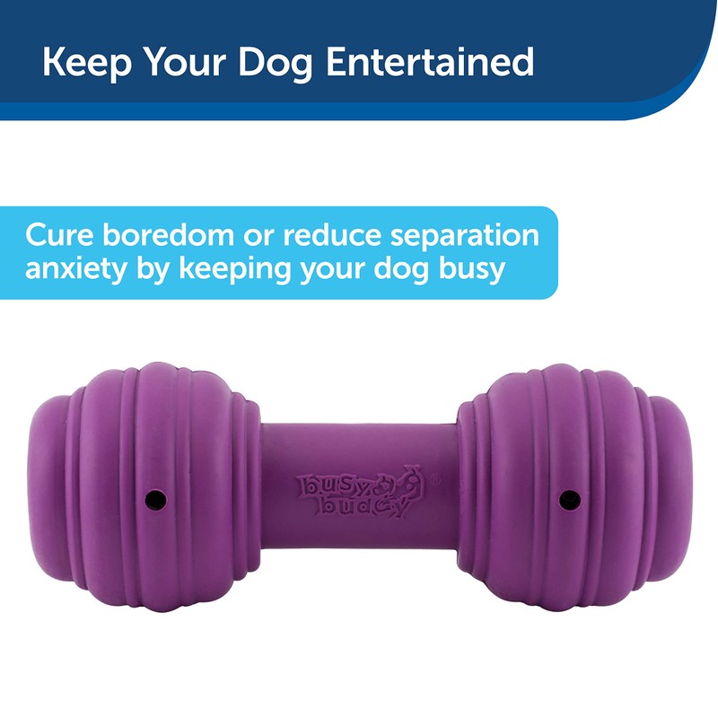 PetSafe Busy Buddy Chuckle, Interactive Treat Dispensing Dog Toy, Chew