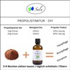 Sala Propolis Powder Extract Organic 50 g Bag