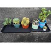 VUWEZ 2 Pack Plant Saucer Tray Rectangular, Plant Growing Nursery