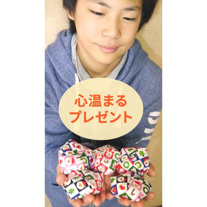 Handmade Bean Bag Japanese Pattern Shiba Inu-kun