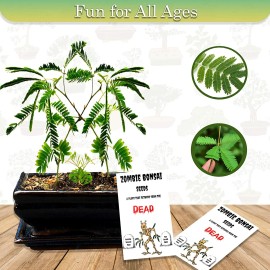 CZ Grain Zombie Bonsai Seed Packets (2 Pack) Sensory Bonsai Plant Reacts to To Touch