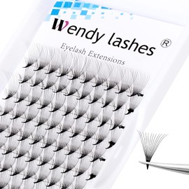 Volume Eyelash Extensions, 12D Ready-to-Use Fan Eyelash Extensions, 0.07 13 mm, D Curl, Silk Eyelashes, Volume Eyelashes, Ready-to-Use Fan Eyelash Extension (12D-0.07-D-13)