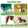 Marnonsis Dog Knee Brace for Torn Acl Hind Leg, Adjustable