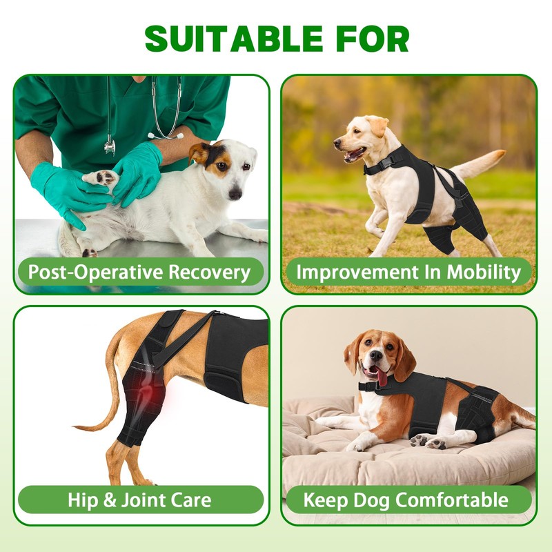 Marnonsis Dog Knee Brace for Torn Acl Hind Leg, Adjustable