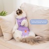 Avont Cat Recovery Suit Post-Surgery Onesie, Breathable Cone-of-Shame Alternative Bodysuit
