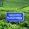 250g Gyokuro Herb Tea Organic Jade Dew Loose Leaf Green