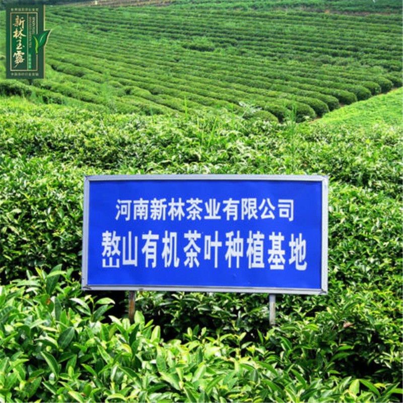 250g Gyokuro Herb Tea Organic Jade Dew Loose Leaf Green