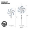 mollie Oscillating Pedestal Fan with Remote Control 12H Timer Portable